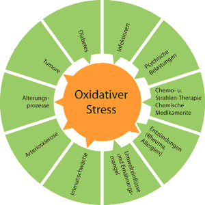 Grafik oxidativer stress