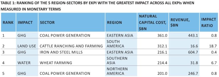 environmental impact
