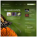 biomimicry