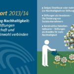 Stiftungsreport