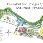 permakultur