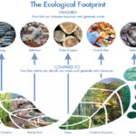 footprint overview