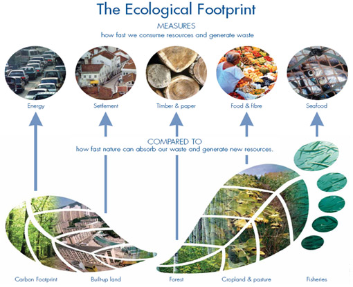 footprint overview