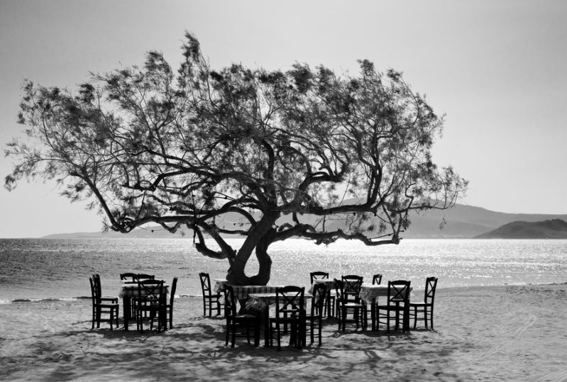 The Tree by Simon Bode