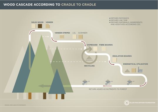 Wood Cascade