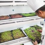 by urbancultivator.net