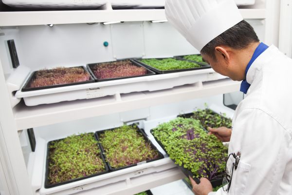 by urbancultivator.net