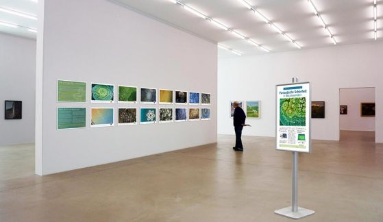 Bio NichtBio Ausstellung