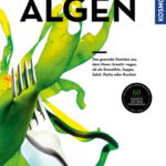 Algen