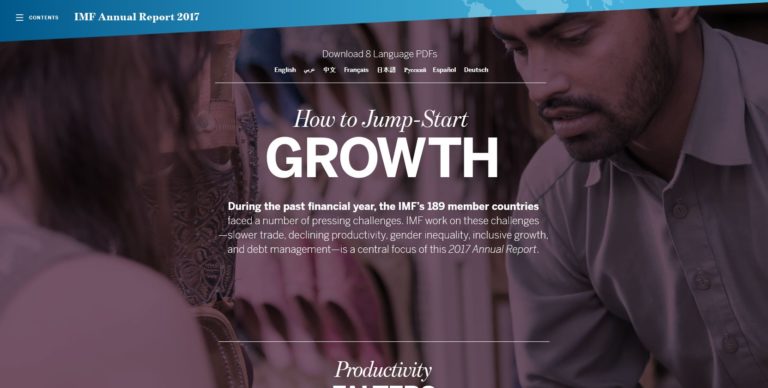 IMF Report 17