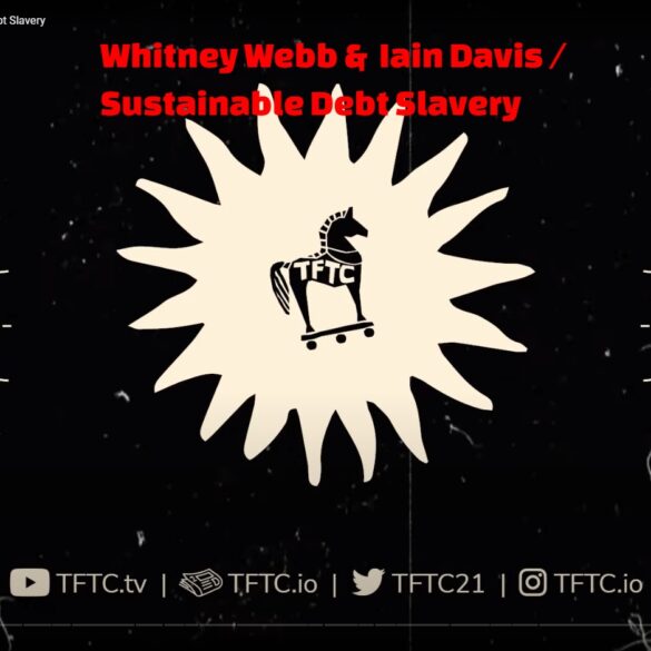 Whitney Webb Iain Davis Sustainable Debt Slavery YouTube