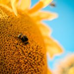 nature is all