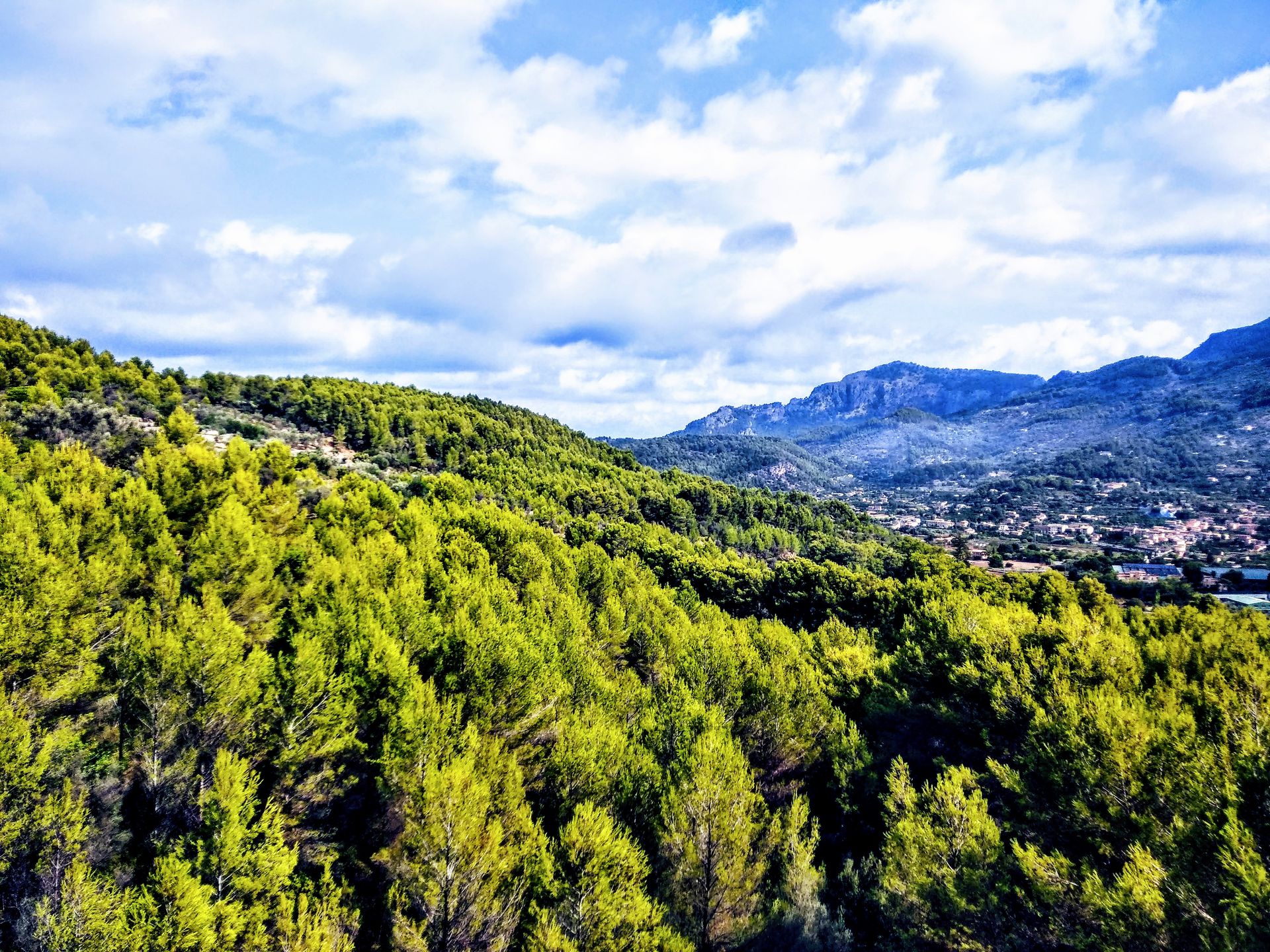 Nature