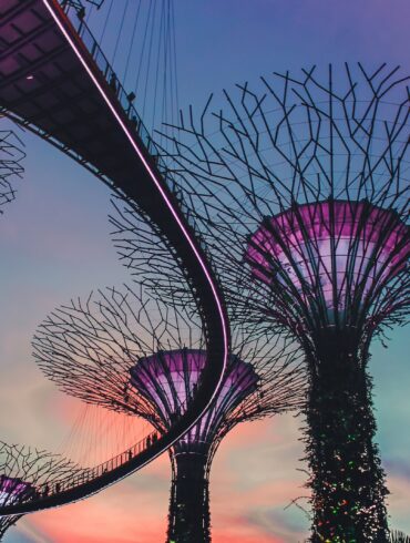 photo of Gardens by the Bay, Singapore