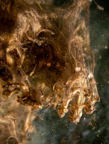 Foto von Angel Luciano