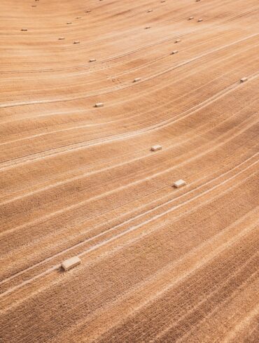 brown wooden surface with hole