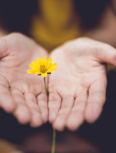 selective focus photography of woman holding yellow petaled flowers