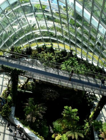 architectural photography of glass building