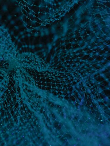 blue and white floral textile