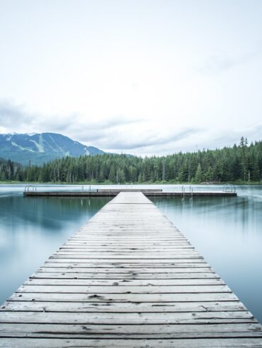 gray wooden sea dock near green pine trees under white sky at daytime