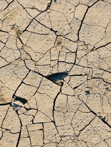 dried soil
