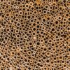 black and white polka dot textile