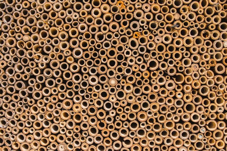 black and white polka dot textile