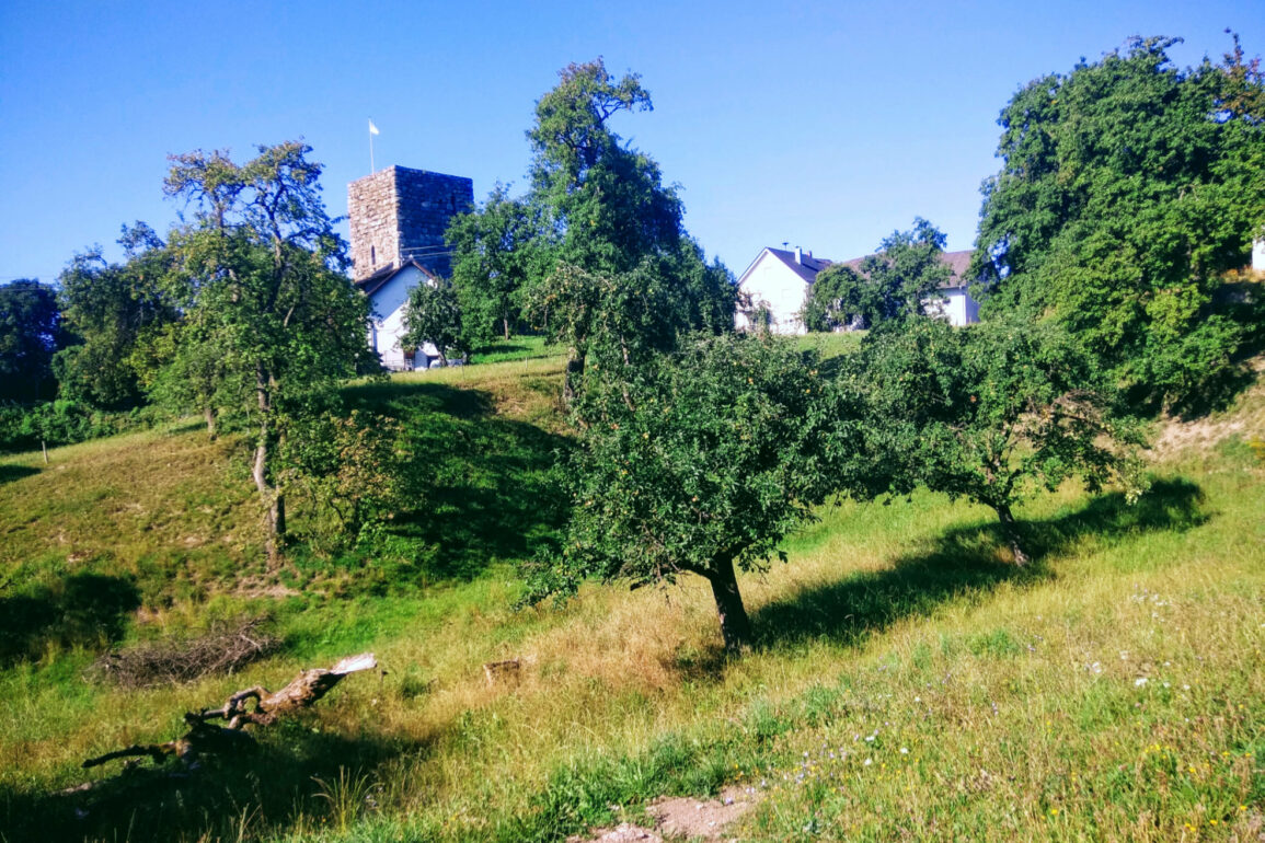 Hatzenturm2 1970px