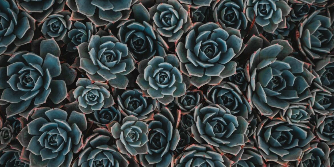 teal flowers