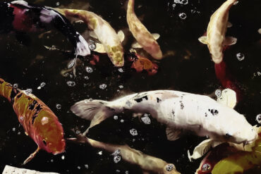 Fish 2