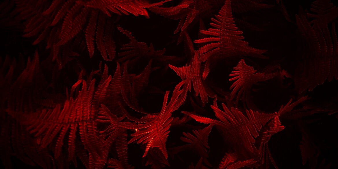 a bunch of red leaves on a black background