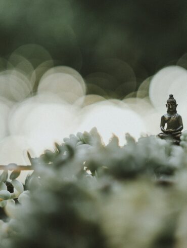 selective focus photography of Buddha statue