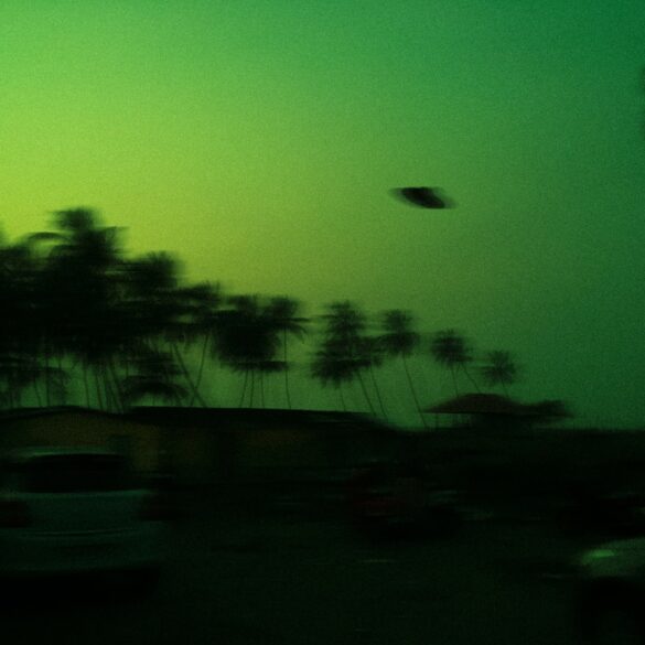 green and black trees under blue sky