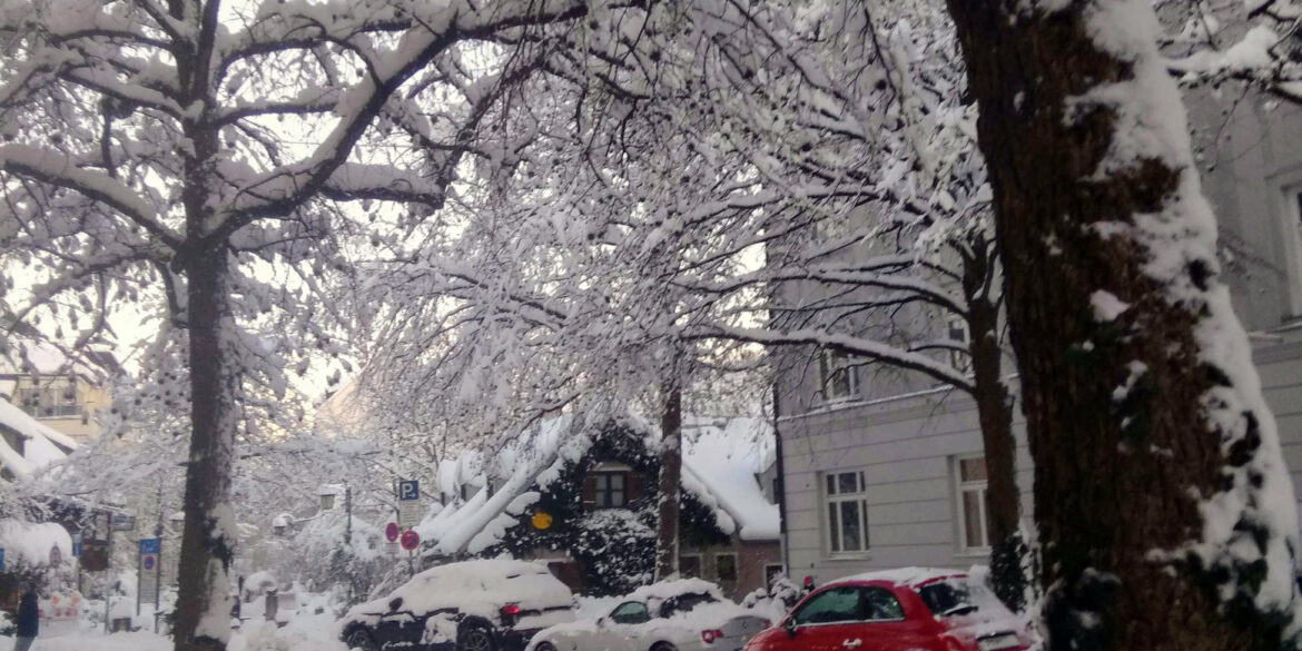 Snow centrum