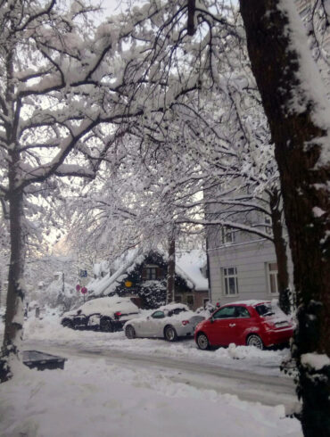 Snow centrum