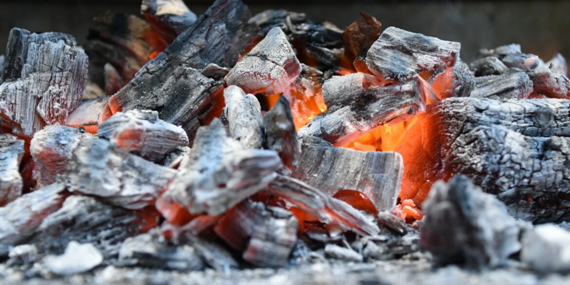 brown and white firewood on gray concrete floor