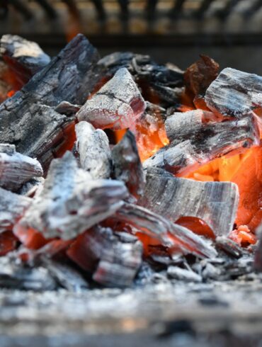 brown and white firewood on gray concrete floor