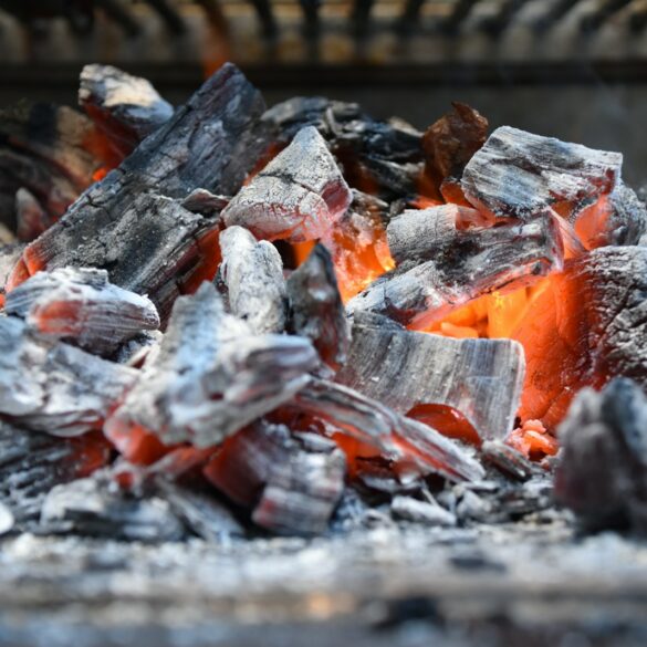 brown and white firewood on gray concrete floor
