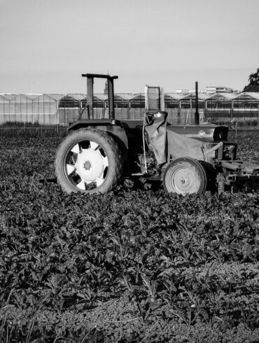 grayscale photo of tractor on grass field