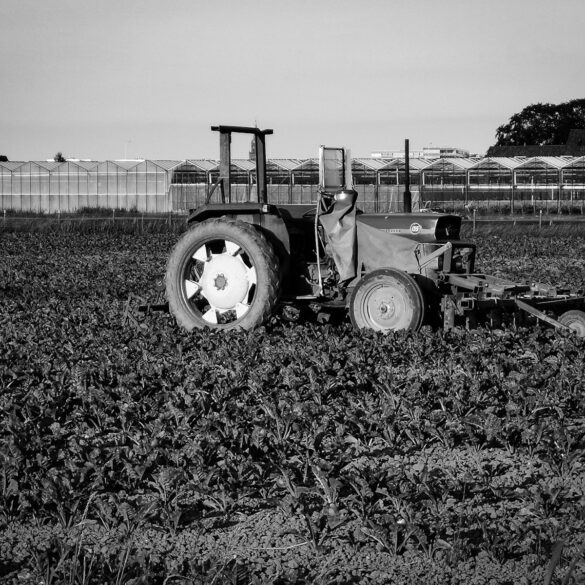 grayscale photo of tractor on grass field