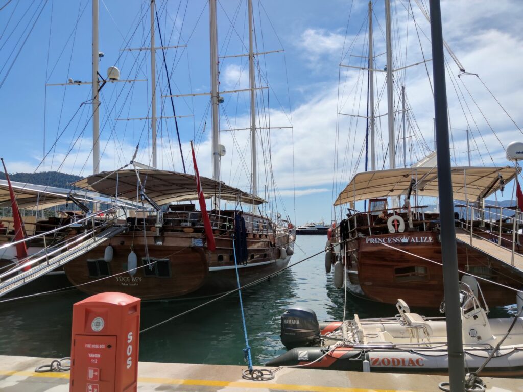 Img 20240408 115942
