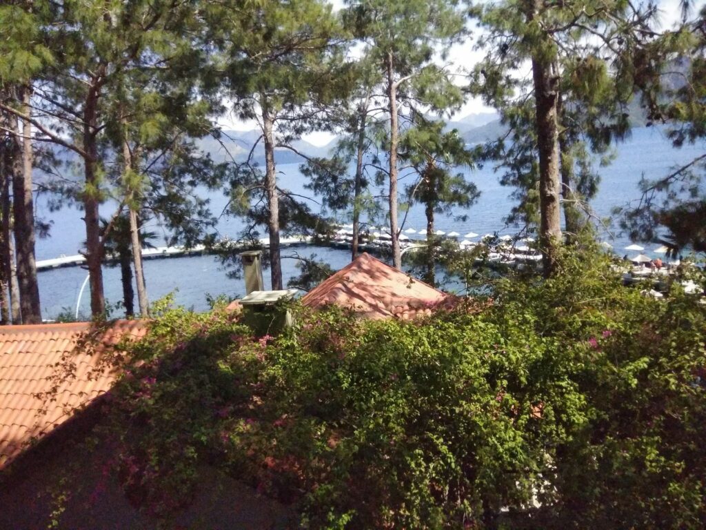 Img 20240409 133833