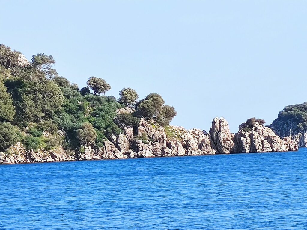 Img 20240409 165252