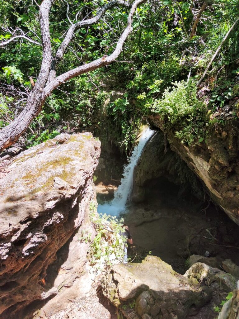 Img 20240410 123933