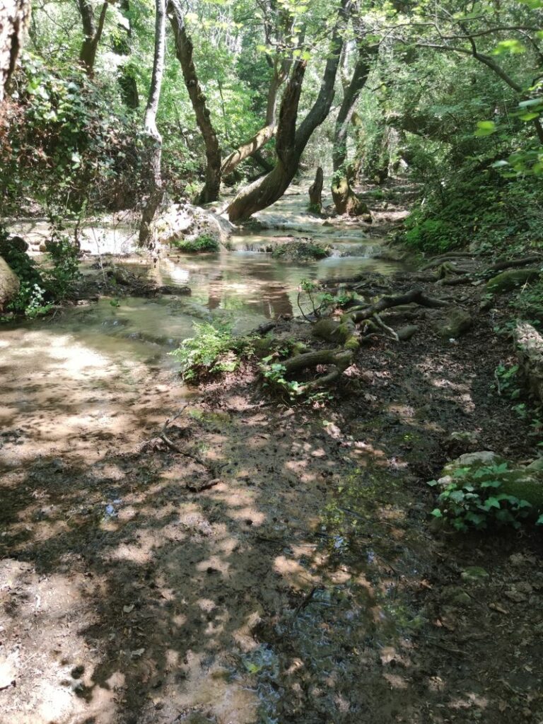 Img 20240410 124608