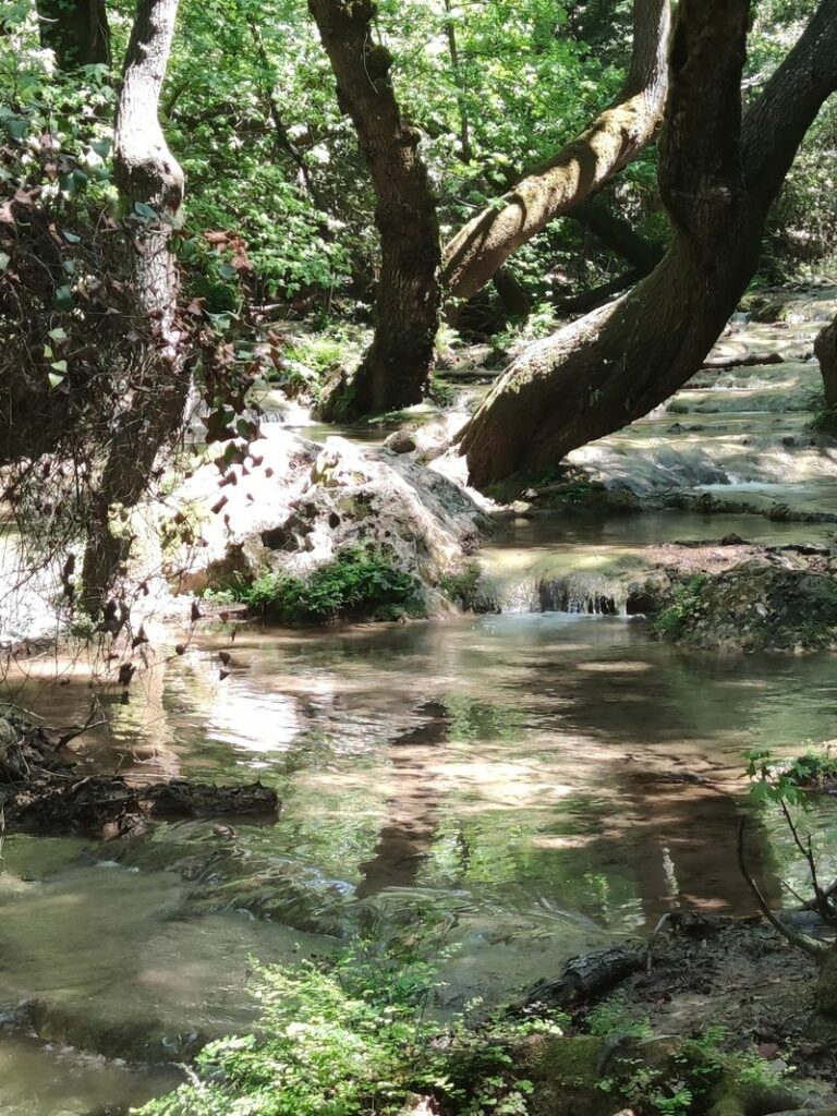 Img 20240410 124656