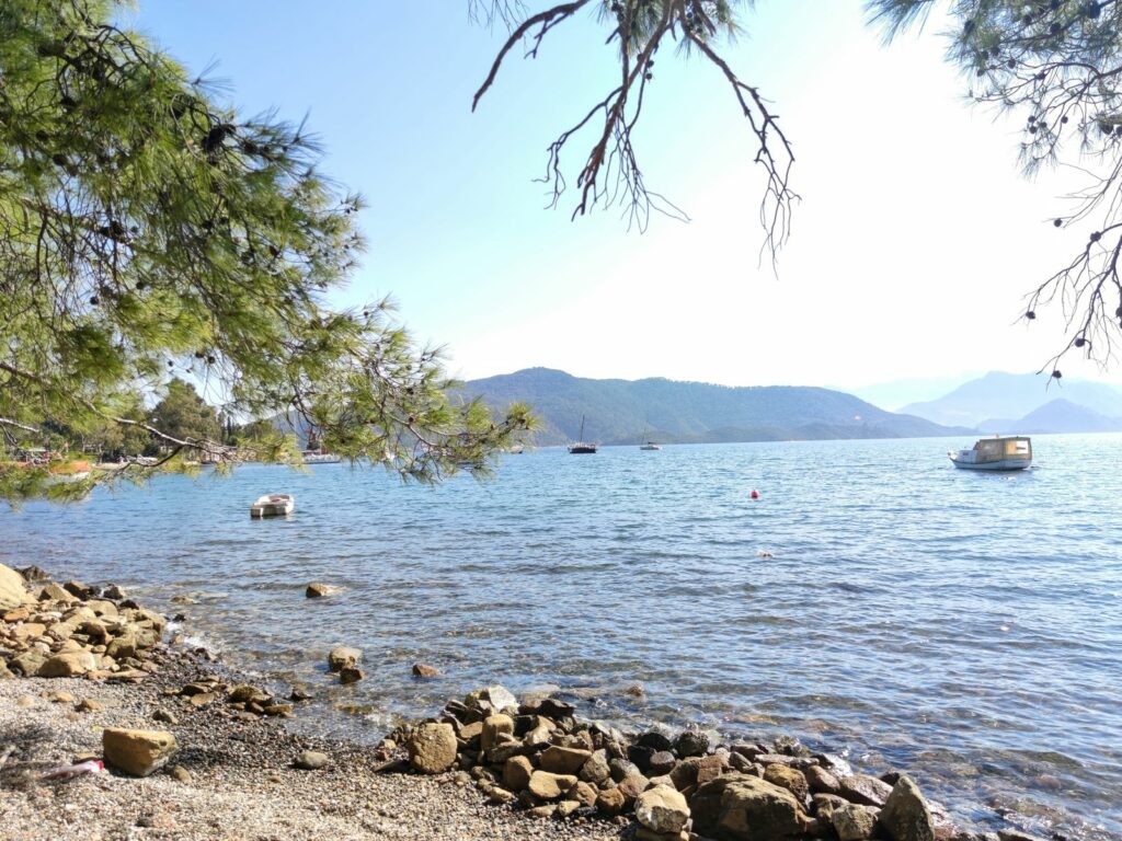 Img 20240411 160514
