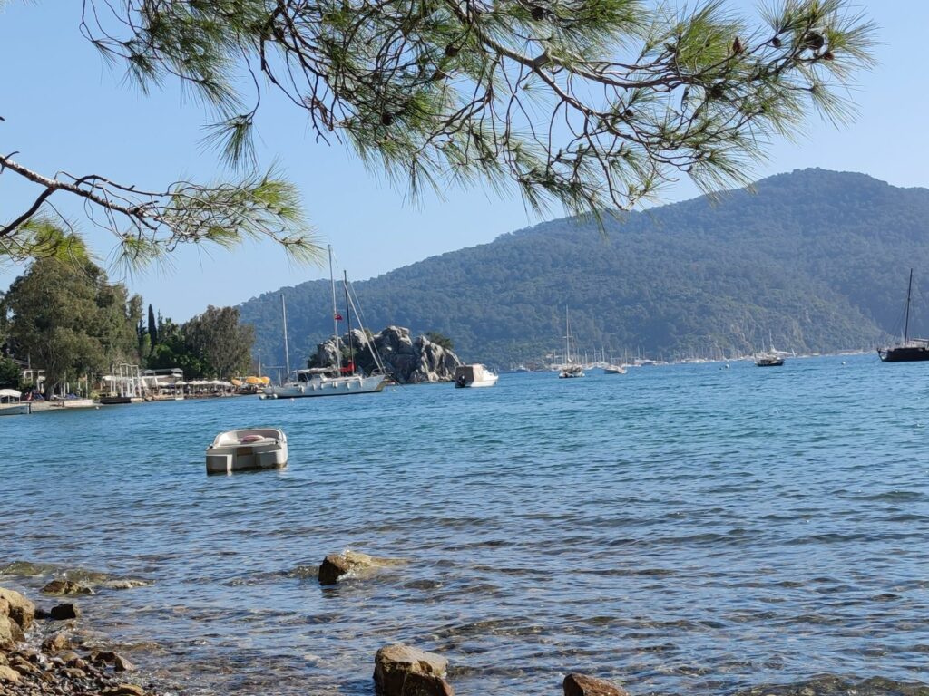 Img 20240411 162316