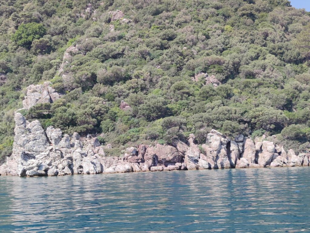 Img 20240412 105208