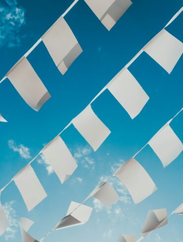 photo of buntings